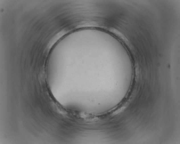 X0000077371129200611101657