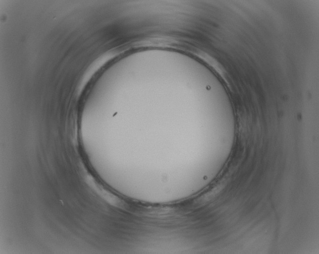 X0000077371131200611101657