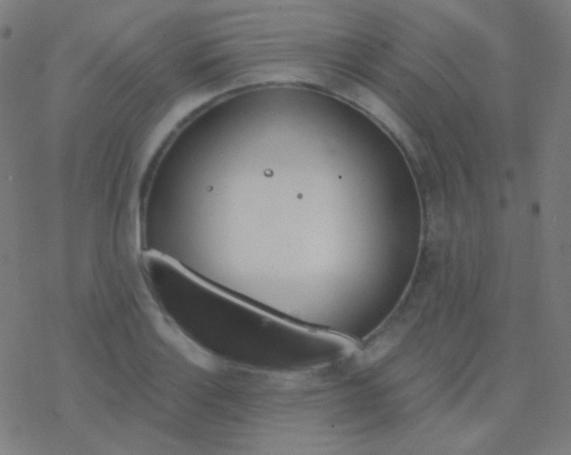 X0000077371132200611101657