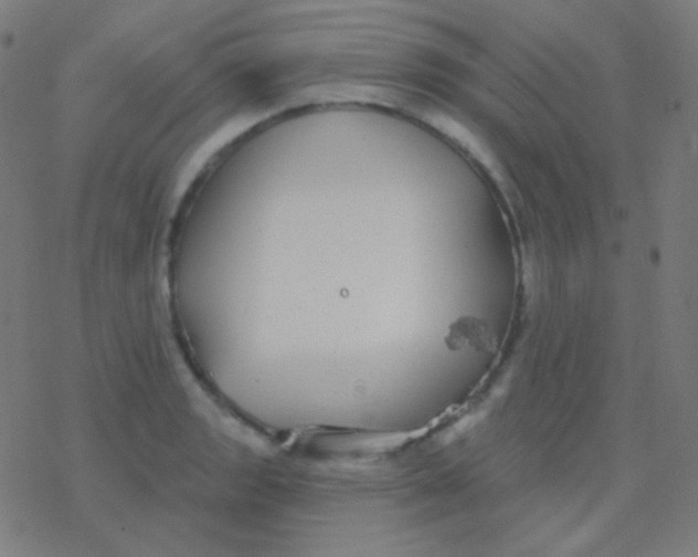 X0000077371133200611101657