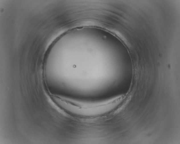 X0000077371134200611101657