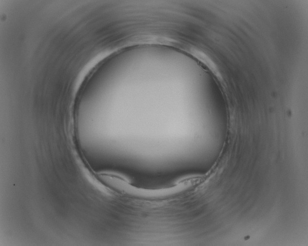 X0000077371136200611101657