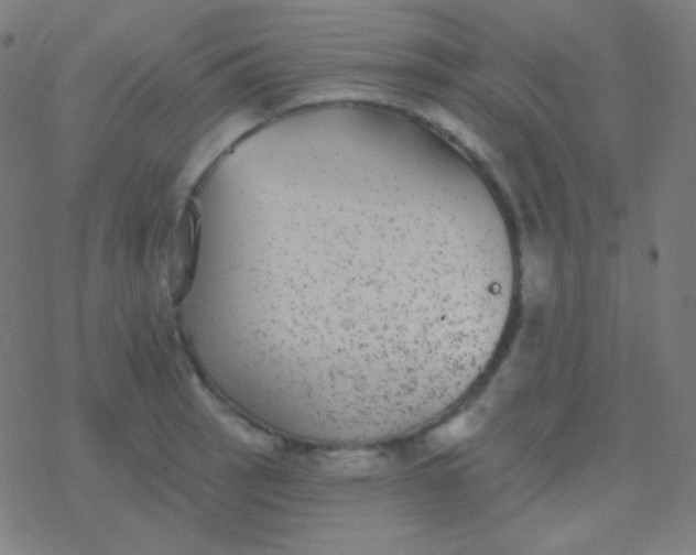 X0000077371137200611101657