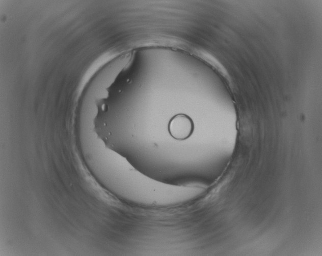 X0000077371138200611101657