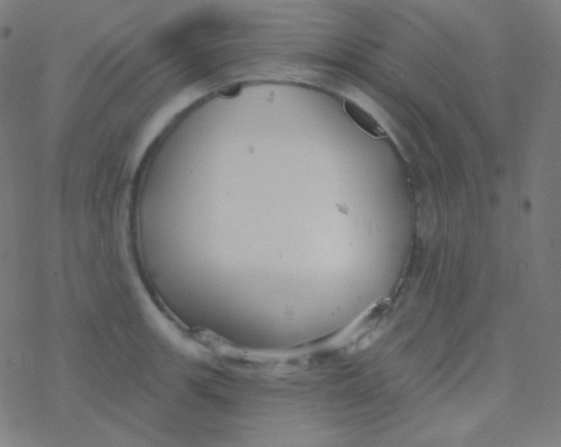 X0000077371139200611101657