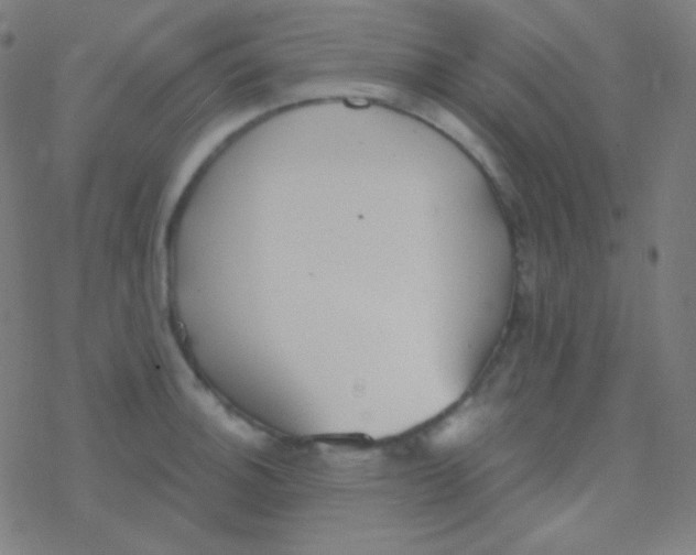 X0000077371140200611101657