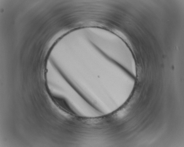 X0000077371141200611101657