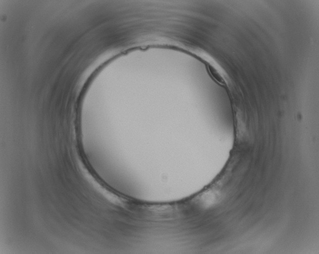 X0000077371142200611101657