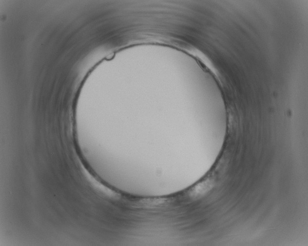 X0000077371143200611101658