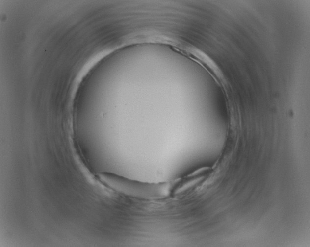 X0000077371144200611101658