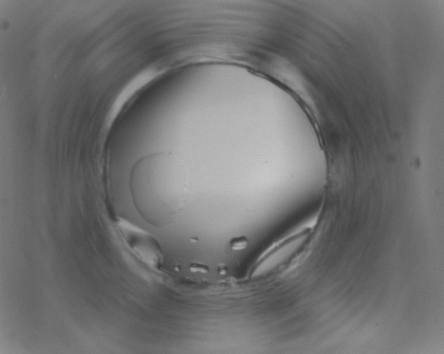 X0000077371146200611101658