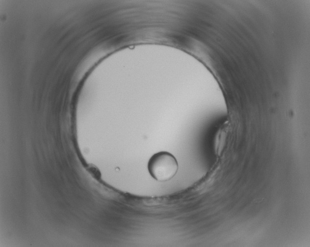 X0000077371147200611101658