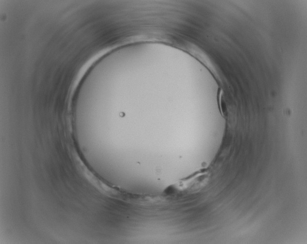 X0000077371148200611101658