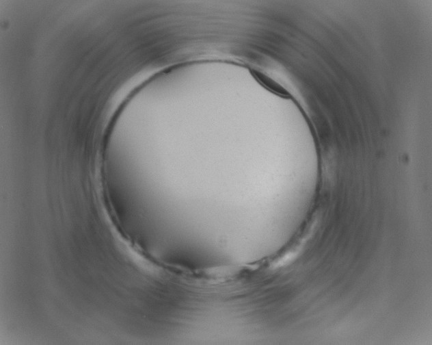 X0000077371149200611101658