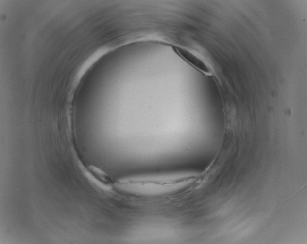 X0000077371151200611101658