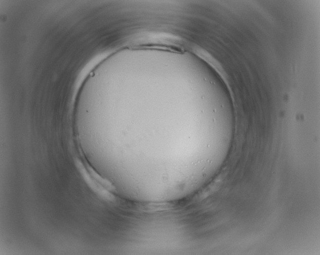 X0000077371152200611101658