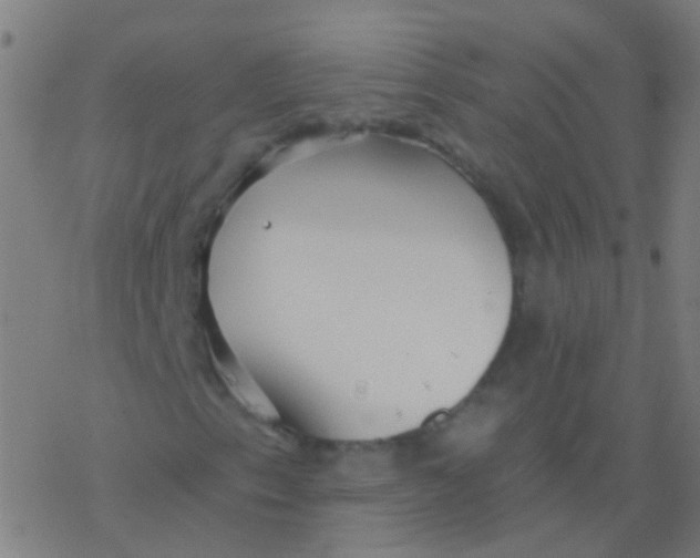 X0000077371153200611101657