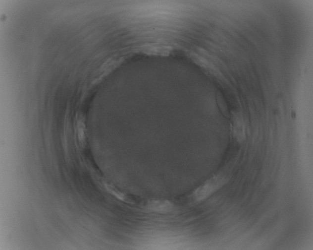 X0000077371154200611101657