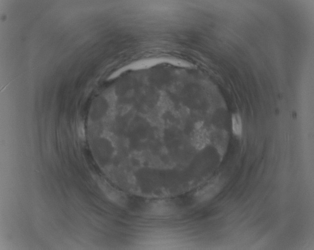 X0000077371155200611101657