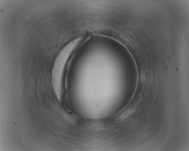 X0000077371156200611101657