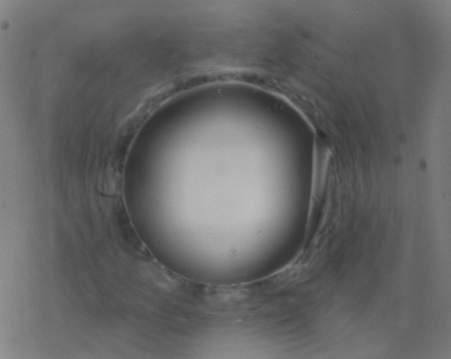 X0000077371157200611101657