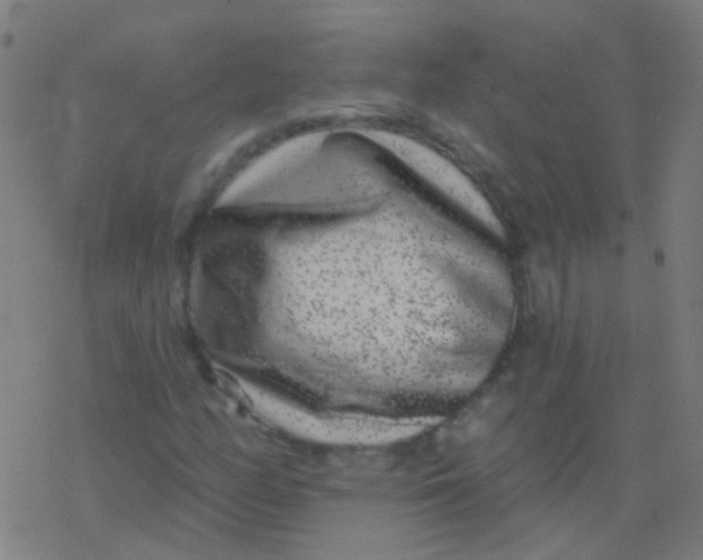 X0000077371158200611101657