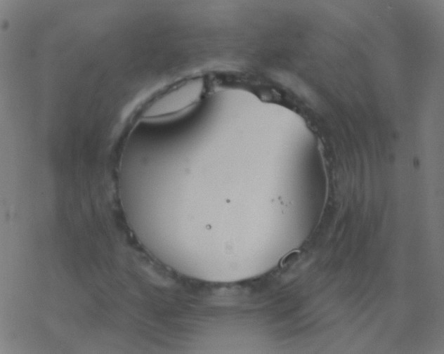 X0000077371160200611101657