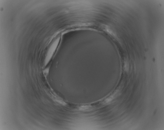 X0000077371161200611101657