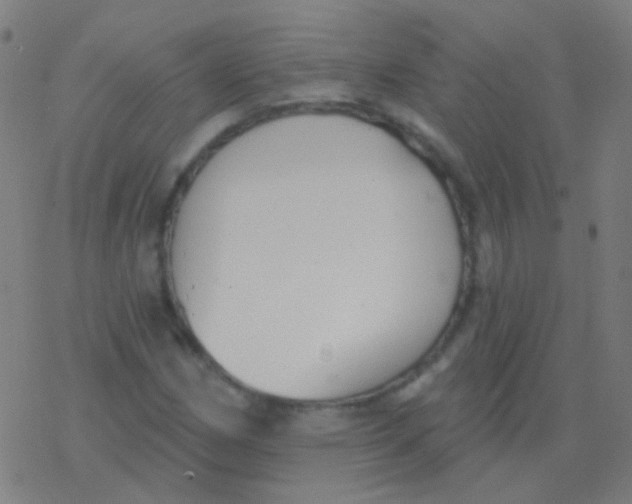 X0000077371162200611101657