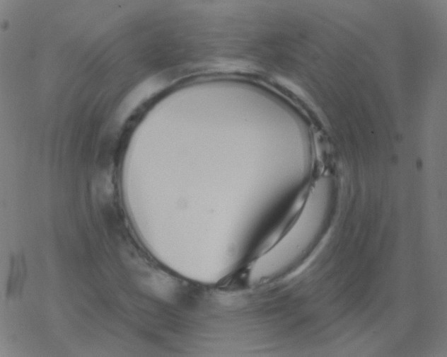 X0000077371163200611101657