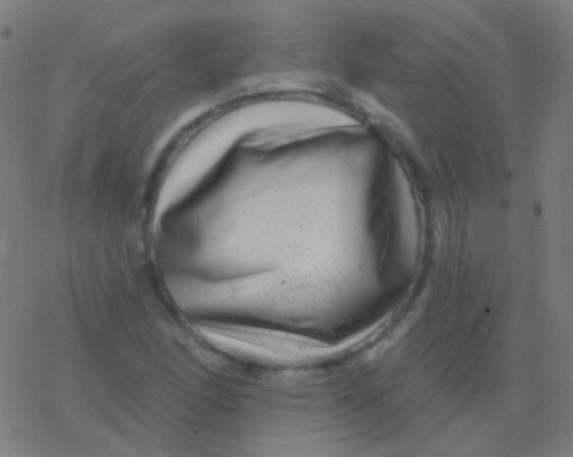 X0000077371166200611101657