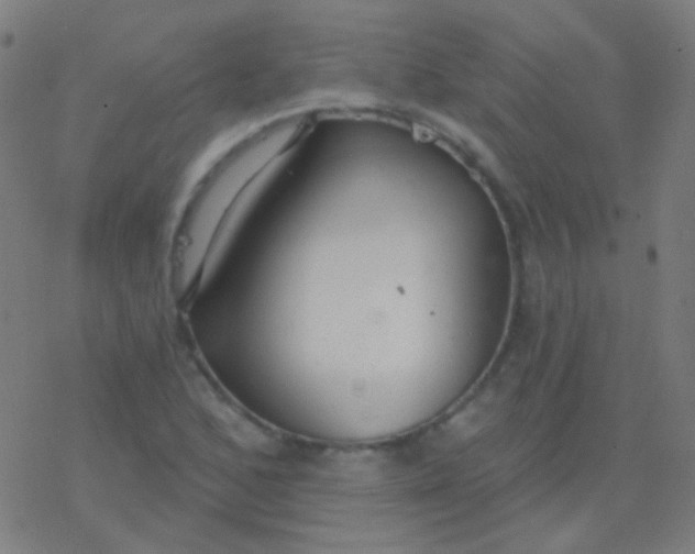 X0000077371168200611101657