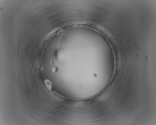 X0000077371169200611101657