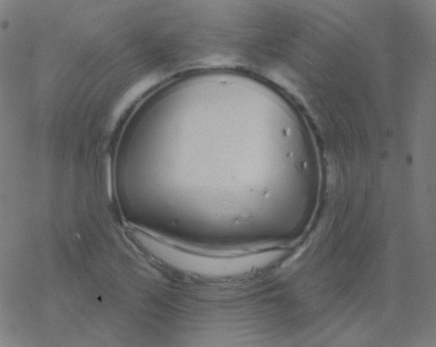 X0000077371171200611101657