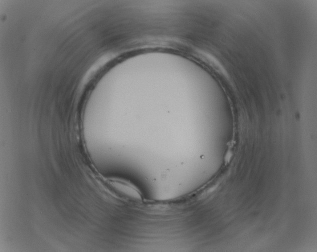 X0000077371172200611101657