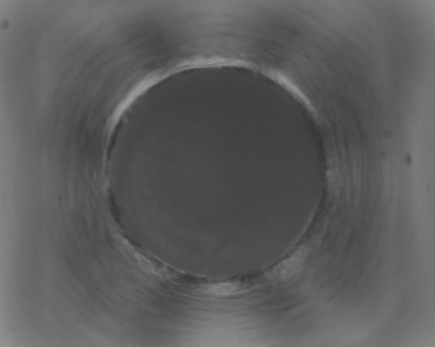 X0000077371173200611101657