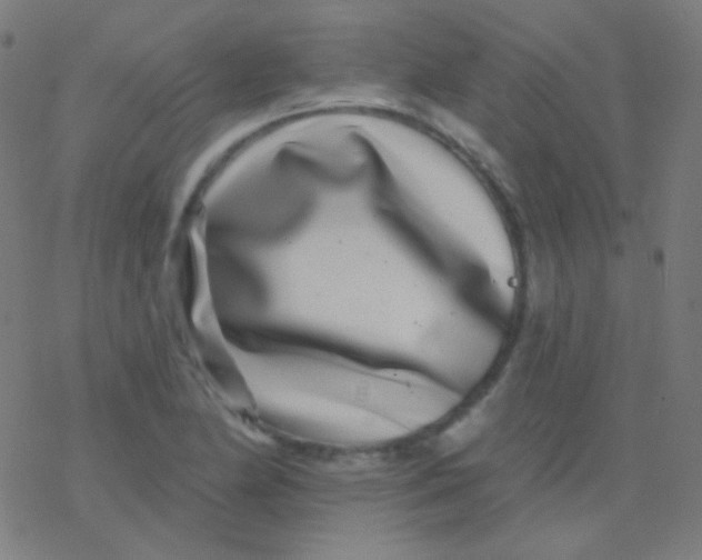 X0000077371174200611101657