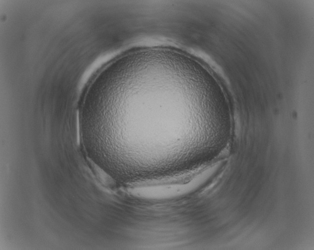 X0000077371175200611101657