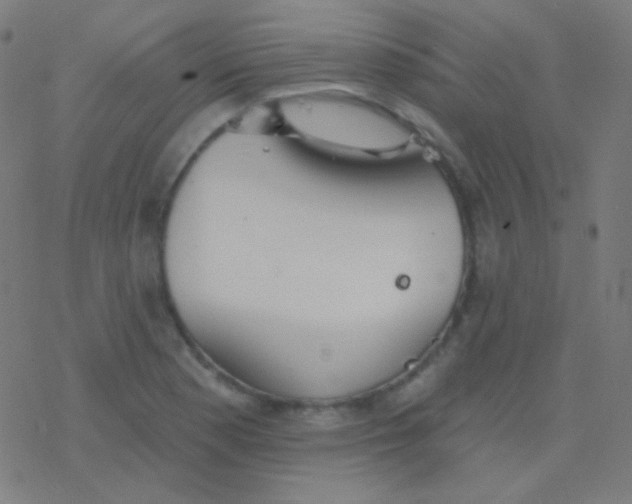 X0000077371177200611101656