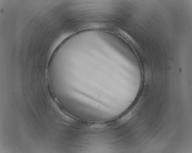 X0000077371178200611101656