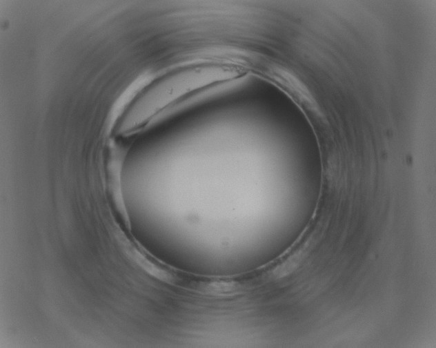 X0000077371180200611101656