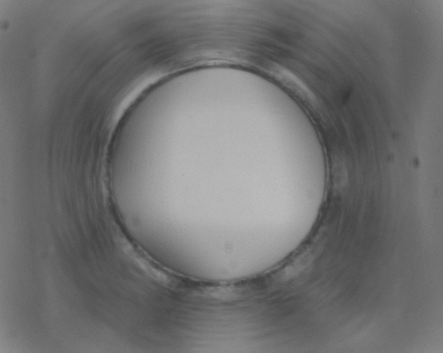 X0000077371182200611101656