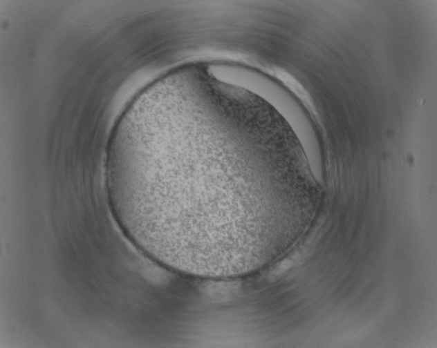 X0000077371183200611101656