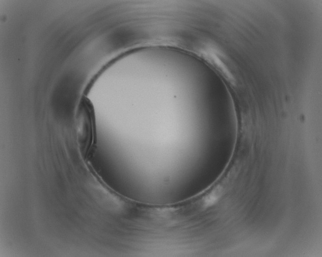 X0000077371184200611101656