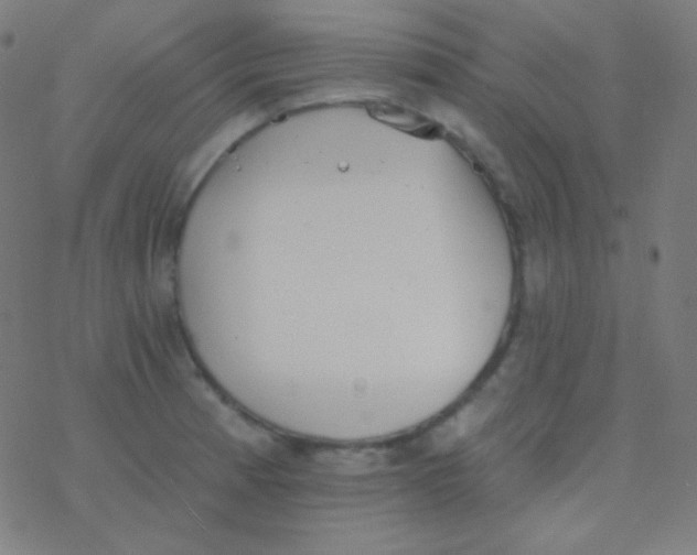 X0000077371185200611101656