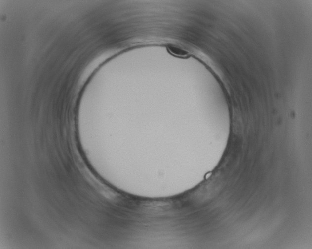 X0000077371187200611101656