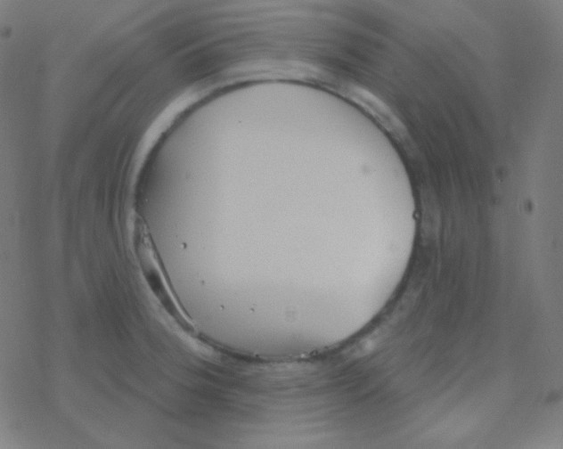 X0000077371188200611101656