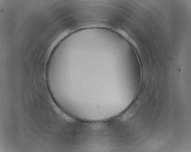 X0000077371189200611101656