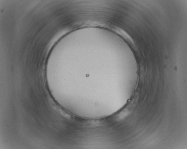 X0000077371190200611101656