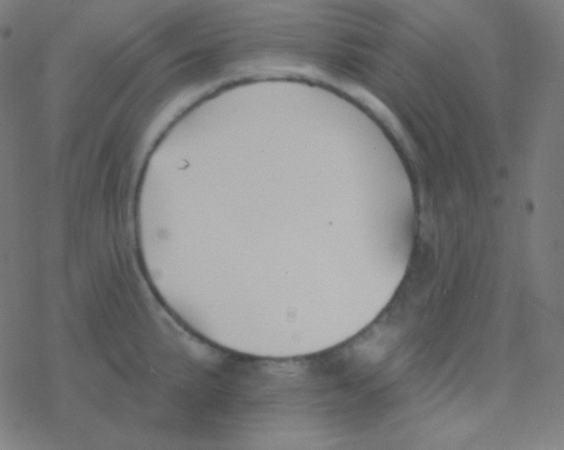 X0000077371191200611101656